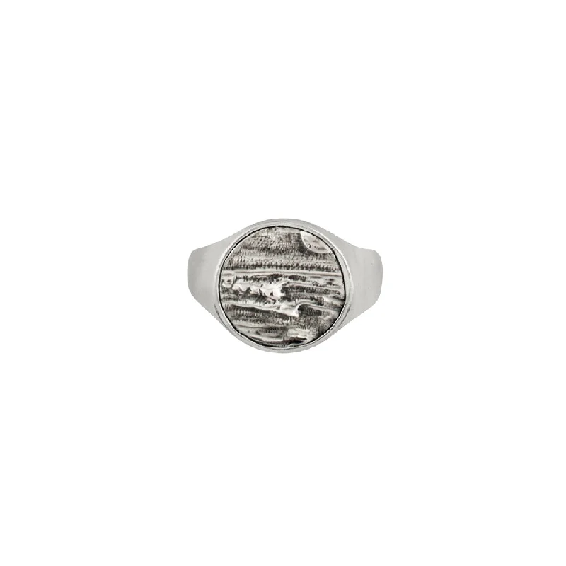 Multi-Stone Engagement Rings-Elements Signet Ring - Go with the Flow in Silver